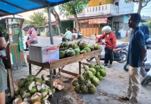 Air Kelapa Segar Banyak Diburu saat Bulan Ramadan