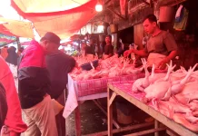 Harga Cabai dan Ayam di Pasar Tradisional Medan Masih Stabil