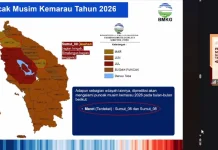 Puncak Kemarau 2026 di Sumut Diprediksi Juni–Agustus, Waspada Karhutla