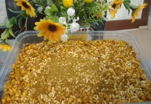 Usaha Berbasis Tradisi: Bubur Pedas Melayu Deli Kini dan Nanti