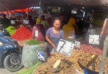 Pasokan Pangan Sumut Cukup Hingga H+3