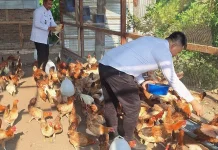 Kalapas Tanjungbalai Tinjau Peternakan Pastikan Berjalan Baik