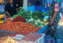 Babinsa 03/Parongil Pantau Harga Sayur Mayur dan Sembako