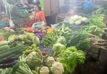 Harga Kebutuhan Pokok di Medan Relatif Stabil di Momen Lebaran 2026