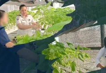 Lapas Perempuan Medan Bekali Warga Binaan Keterampilan Hidroponik