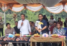 Pemkab Karo Lestarikan Sumber Daya Ikan dengan Penebaran Benih Nila