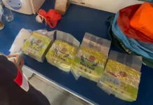 BC Teluk Nibung dan Polda Sumut Gagalkan 4.2 Narkotika