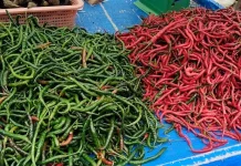 Harga Bahan Pokok di Medan Mulai Stabil, Cabai Turun Drastis