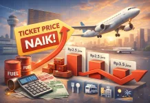 Harga Tiket Pesawat Melonjak, Efek Multiplier Tekan Banyak Sektor Ekonomi