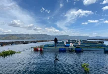 Air Danau Toba Surut Masih Normal, BMKG Lakukan Hujan Buatan