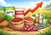 Harga Pupuk Naik akibat Konflik Global, Biaya Produksi Pangan Ikut Terdorong