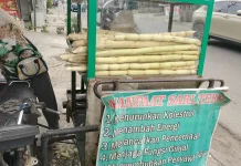 Jangan Cuma Diminum! Intip Manfaat Air Tebu