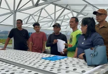 SPPG Yayasan Binar Bersama Hirasma Gandeng Petani Hidroponik Dukung Program MBG