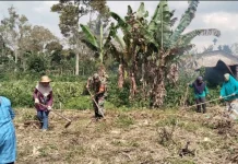 Babinsa Koramil 04/Tigalingga Bersihkan Lahan untuk Ketahanan Pangan