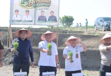 Pemkab Dairi Dan PT. Pupuk Indonesia Tanam Padi Bersama Di Desa Lumban Toruan