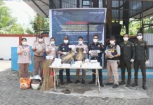 Ribuan Kulit Biawak dan Komoditas Ilegal Dimusnahkan
