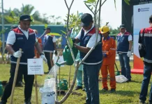 Peringati Hari Bumi 2026, Hutama Karya Tanam 17.000 Pohon di Tol Trans Sumatra