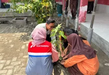 Fuel Terminal Medan Edukasi Lingkungan di UPT SDN 065009, Wujudkan Sekolah Hijau