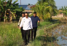 Pemkot Tanjungbalai Dukung Gerakan Tanam Serentak Nasional
