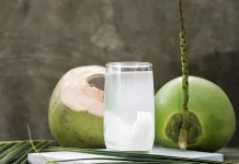 Minum Air Kelapa Setiap Hari: Sehat atau Sekadar Mitos yang Terlalu Dipercaya?
