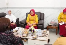 Dekranasda Kota Binjai dan APPMI, Bahas Peluang Kolaborasi Industri Kreatif