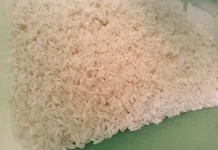 Trik Ampuh Mengusir Kutu Beras