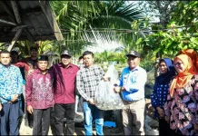 Bupati Tinjau TPI Paluh Manan hingga Serahkan Bantuan