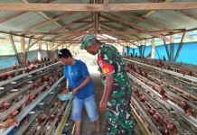 Babinsa Koramil 04/Tigalingga Sambangi Peternak
