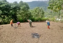 Babinsa Koramil 07/Salak Bantu Petani Tanam Padi Gogo di Desa Simerpara, Pakpak Bhar
