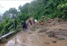 Jalan Tarutung-Sipirok Terdampak Longsor Sebabkan Lalin Putus, Pickup Tertimbun
