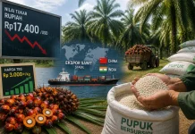 Harga Pupuk Naik, Produktivitas Sawit Dinilai Masih Aman