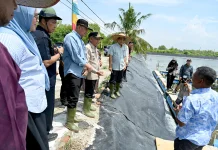 Tinjau UPTD BIAPAL Sialang Buah, Wagub Sumut Dorong Peningkatan PAD Sektor Perikan