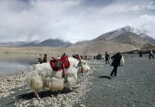 Mengunjungi Danau Baisha di Xinjiang, Nikmati Keindahan Alam Dataran Tinggi Pamir