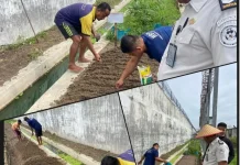 Dukung Ketahanan Pangan, Lapas Bersama WBP Tanjungbalai Asahan Tanam Sayur
