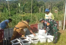 Babinsa dan Kades Kompak Siapkan Kebun TOGA di Kantor Desa