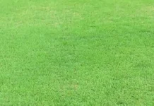 Rumput Stadion Utama Sumut Dipastikan Aman bagi Pemain