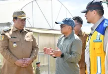 Pemkab Samosir Optimistis Jadi Sentra Bawang Putih
