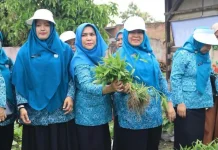 Ketua TP PKK Kota Binjai Tinjau: Aku Hatinya PKK di Kelurahan Sumber Mulyo Rejo