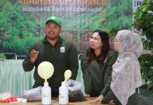 Pelatihan Regeneratif Dairi  Kolaborasi Dorong Produksi Kopi Arabika Meningkat