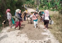 Jatagena Pegagan Hilir Bergerak, Warga Simanduma Gotong Royong Perbaiki Jalan