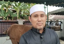 BKM Masjid As-Salamah Ucapkan Terima Kasih Kepada Presiden RI Bantuan Kurban Sapi