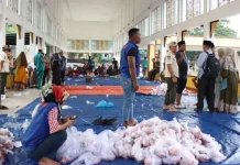 Pemko Binjai Salurkan 2.500 Paket Daging Qurban Bantuan Presiden dan Pemprov Sumut