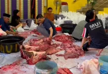 Majelis Ulama Kota Medan Sembelih 7 Ekor Sapi Kurban