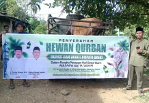 Bupati dan Wabup Dairi Serahkan Hewan Kurban untuk Masjid Al-Ikhlas Alur Subur
