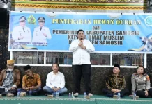 Pemkab Samosir Serahkan Hewan Kurban Iduladha