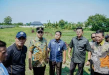 Rico Waas Segera Benahi Akses Jalan TPU Marelan