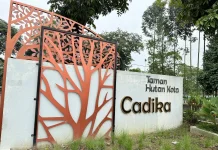 Timnas Vietnam Gelar Sesi Latihan Tertutup di Tanam Cadika Medan