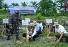 Penanaman Pohon dan Mangrove Diharapkan Jadi Solusi Hadapi Perubahan Iklim