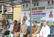 Gus Irawan Dorong Petani Manfaatkan Program Terintegrasi dan KUR Nol Persen