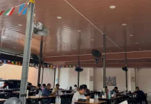 Euforia Piala Dunia 2026 Dongkrak Pengunjung dan Omzet Warung Kopi di Medan